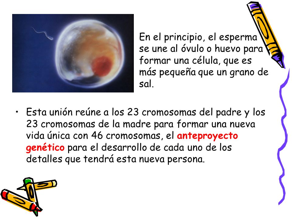 Sobre la persona después de los granos de la costra como arreglar